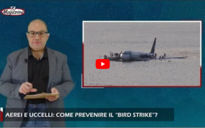 Aerei e uccelli: come prevenire il “bird strike”?